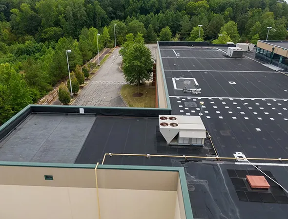 A large black roof atop a commercial building is set against a backdrop of numerous trees, emphasizing its environmental context